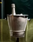 Champagne bowl and foot Steel - Wine Coolers - BARP210 - 5