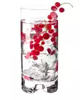 Highball Glass Mixology 330ml (6st) Krosno - Cocktailglas - KR30802 - 1