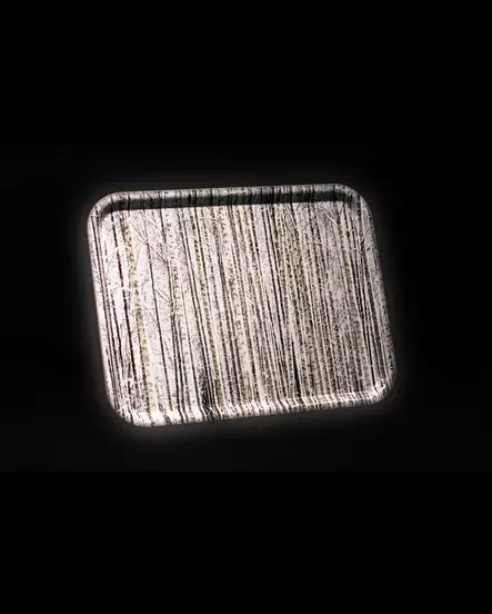 Tarjotin Ceestadesign Talvikoivut (43 x 33cm) - Tarjottimet - CDTA44333 - 1