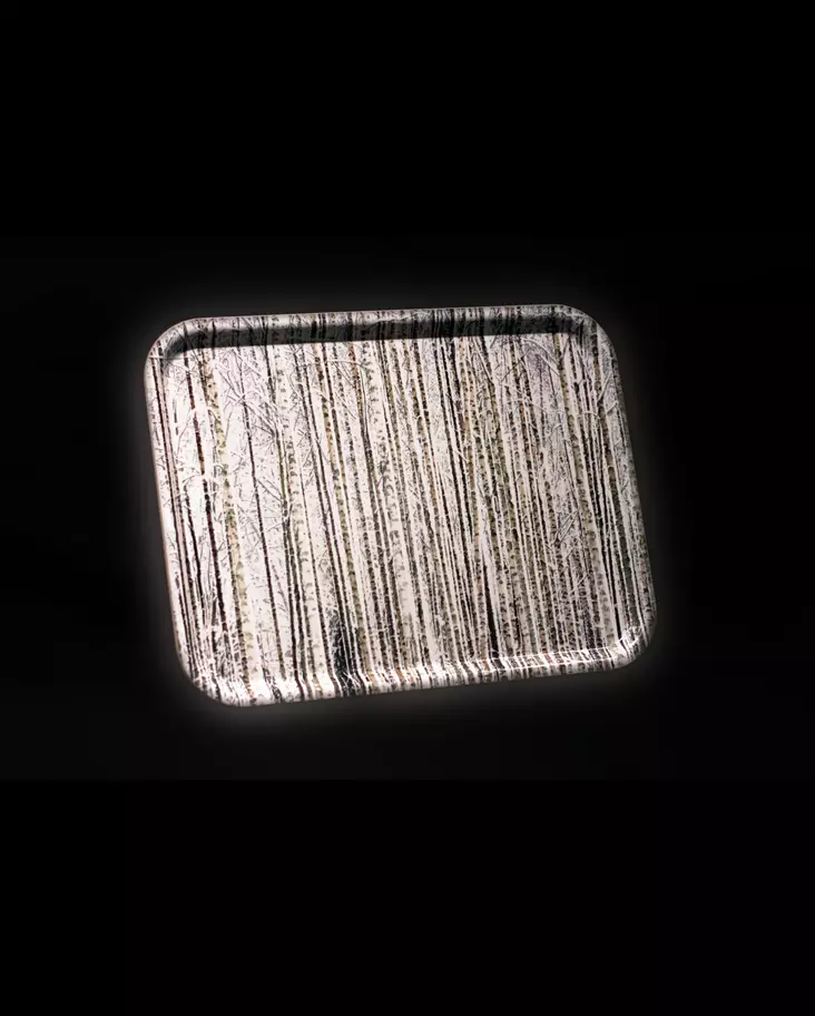 Tray Ceesta Design Winter (43 x 33 cm) - Trays - CDTA44333 - 1