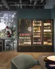 Wine cooler Mia STD M7L Enofrigo - Single Temperature Cabinets - EFMIASTDTLG - 3